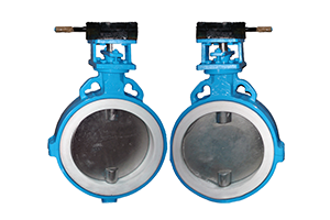 Butterfly Valves